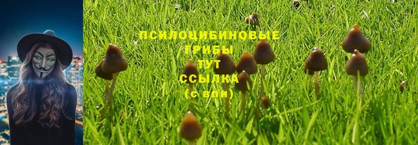 COCAINE Пионерский