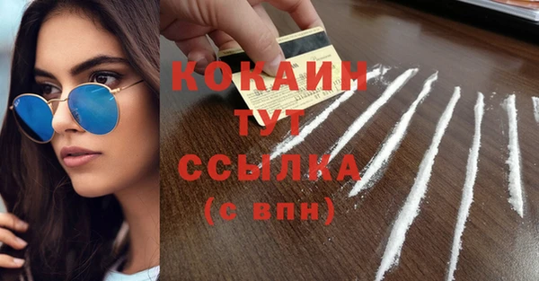 индика Пикалёво