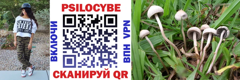 купить наркоту  Донской  Галлюциногенные грибы прущие грибы 