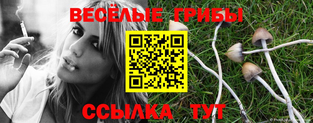 Псилоцибиновые грибы GOLDEN TEACHER Донской
