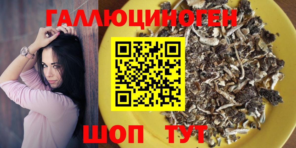 как найти наркотики  Донской  Псилоцибиновые грибы Cubensis 