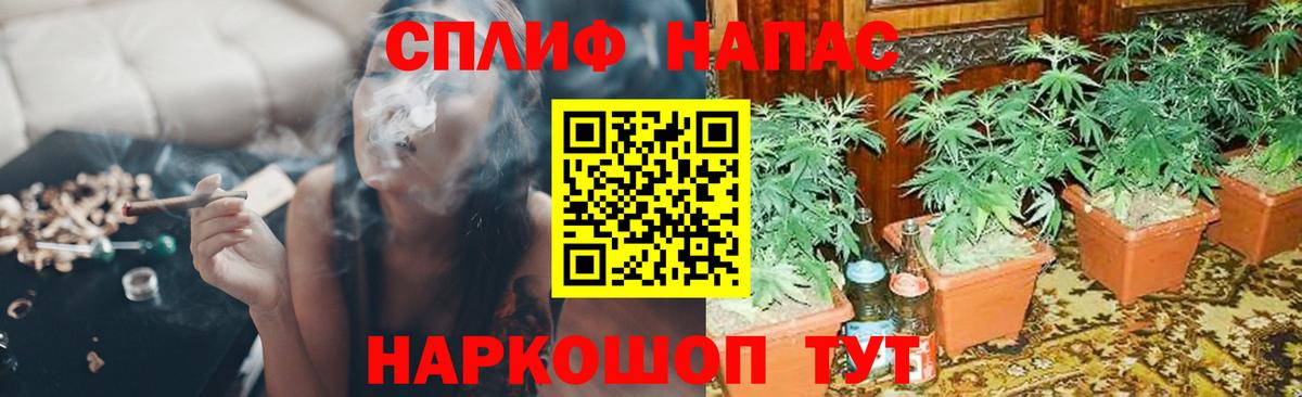 Бошки марихуана семена  Каннабис сатива  Шишки марихуана AK-47  Вход с VPN  Донской 